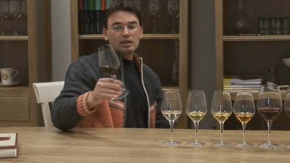 Как да разчитаме цветовете на виното?