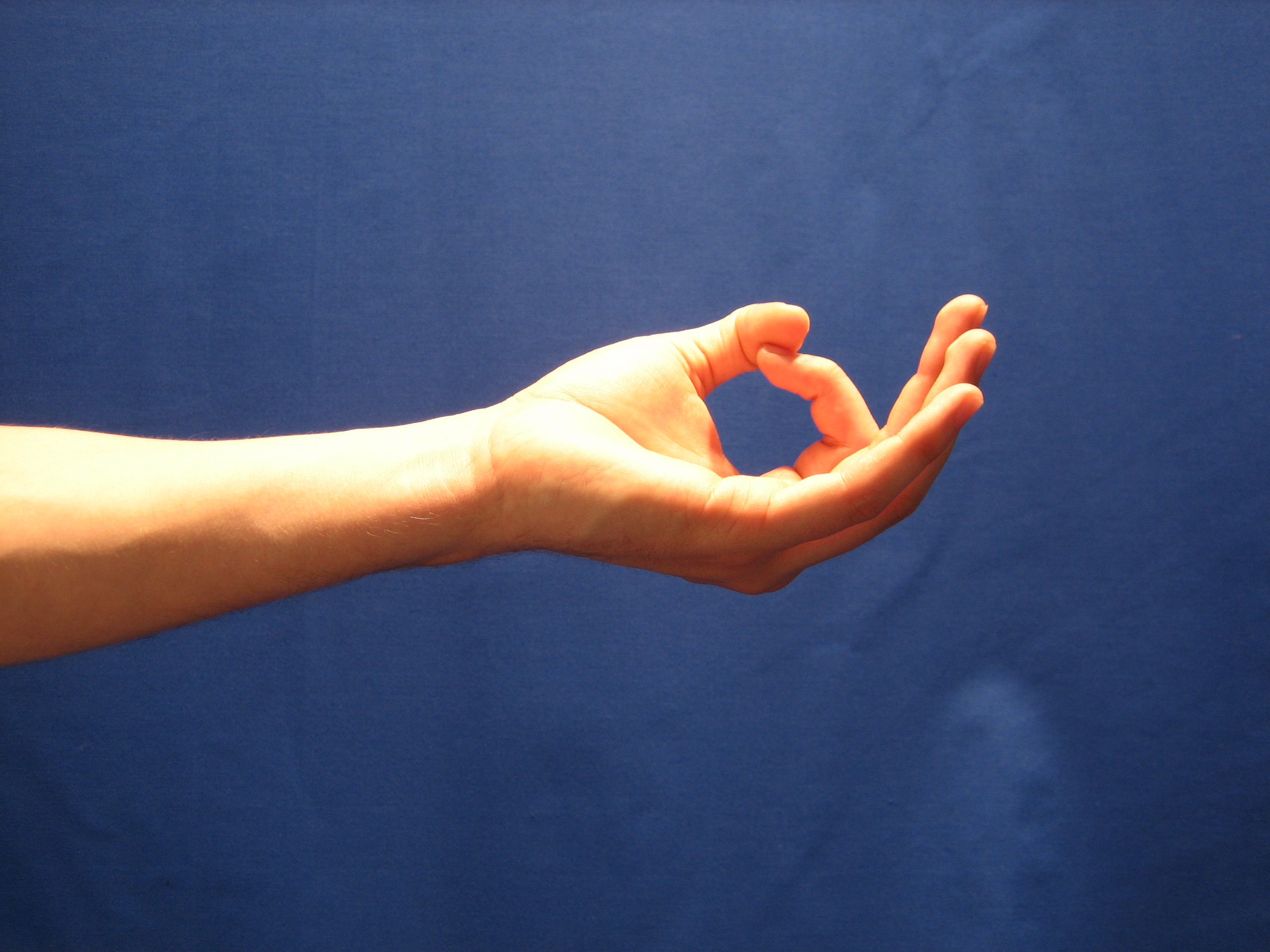 Мудри (йога за ръцете)